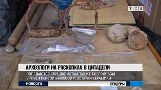 Археологи на раскопках в цитадели