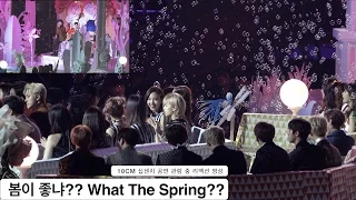 10CM 십센치[4K Reaction 직캠]봄이 좋냐?? What The Spring??@1119 Rock Music