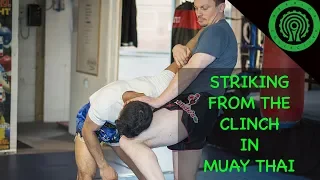 Muay Thai Striking from the Clinch Tutorial