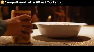 Смотреть онлайн Рыжий пёс 2011 в HD