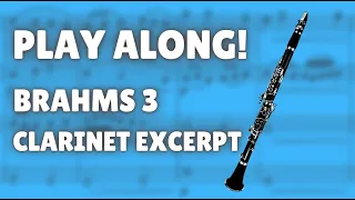 Play Along! Brahms Symphony 3, mvt 2 Clarinet Excerpt - Orchestral Track WITHOUT CLARINET