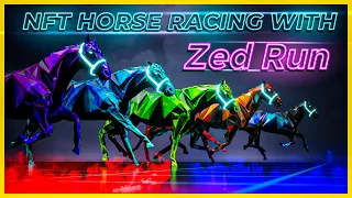 Everything You Need to Know About NFT Horse Racing with Zed Run