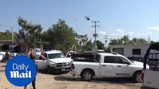 11 dead after cartel shootout in Mexico's Guerrero state - Daily Mail