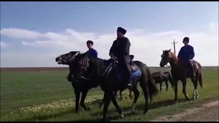 5 день конного перехода Ставропольский край