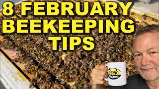 Beekeeping Tips For The Month Of February