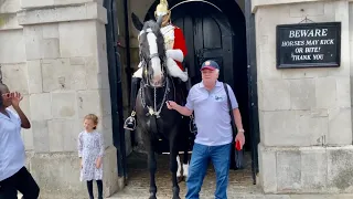 People Keep Holding Horses Reins Queen's Life Guards