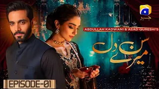 Sun Mere Dil - Episode 01 | Wahaj Ali, Maya Ali, Hira Mani | New Pakistani Drama | Geo TV New #drama