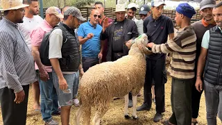 اليوم في سوق المجاطية بمديوينة كبش العيد بغاه الجميع سمع بشحال تباع ولمن كتاب ✍️ عند الكساب العبدي