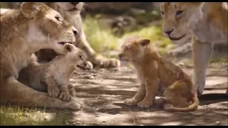 Le Roi Lion - Nala et Simba enfant - C'est l'heure du bain - Le film