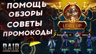 🔴РЕДАКТИРУЕМ RAID.GURU ВМЕСТЕ!🔴 и 🔴ПРОМОКОДЫ🔴! Спасибо за 65000! Raid Shadow Legends - Рейд СЛ