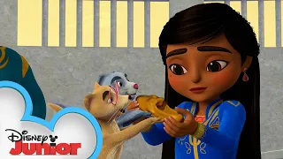 The Case of the Funky Fountain | Mira, Royal Detective | @disneyjunior