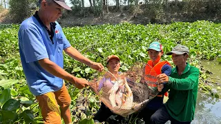 Kéo Lưới Trúng Mẻ Cá Dồ Đém Và Con Cá Hô Về Nhúng Mắm Ruốc Rau Đồng.Góc Làng Quê#1158