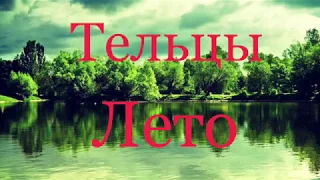 Телец. Лето 2019 года 🏖 Таро-прогноз