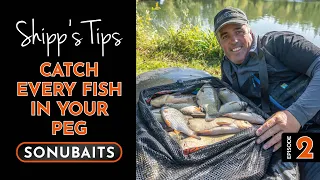 SHIPP'S TIPS - Episode 2 - Catch Every Fish In Your Peg!