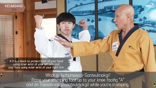 Keumkang Poomsae explanation - Taekwondo Promotion Foundation Educational Program