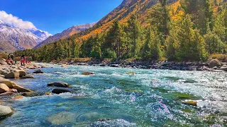 Things to do in Baspa River Camp Chitkul Himachal Pradesh