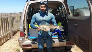 Spearfishing in Melbourne VICTORIA