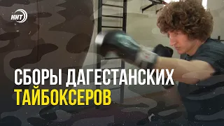 Сборы дагестанских тайбоксеров