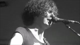 ZEN CIRCUS- L'ANIMA NON CONTA (Live fino al cuore della rivolta 2022)