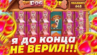 Словил Самую Редкую Линию В Dog House Megaways!!!! Я ТЕПЕРЬ МИЛЛИОНЕР!!! Заносы Недели!!!