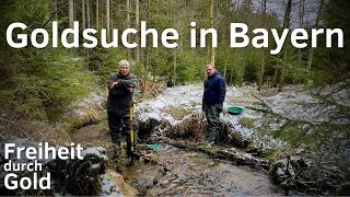 Die Goldsuche im bayerischen Wald geht weiter