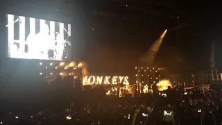 505- Arctic monkeys live in Athens(feat Miles Kane)