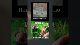 мемы и приколы 🤣🤣 "332 часть" #tiktok #приколы #shorts