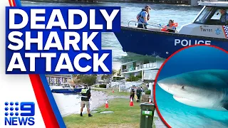 Teenage victim of fatal shark attack identified as locals warned to avoid area | 9 News Australia