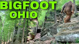 Looking for BIGFOOT in OHIO