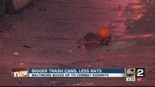 Baltimore City Rat Problem