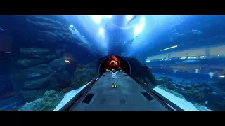 Dubai Aquarium and Underwater Zoo part 3 || Amazing Underwater Zoo Inside || The Dubai Mall Tour