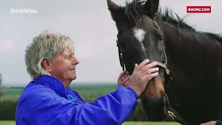 Group 1 Reflections Diva's legacy lives at Flemington