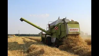 ☆Żniwa z CLAAS-Ą 2019☆ 2xCLAAS DOMINATOR 108 &98☆Żniwa Na Dwa Kombajny☆Wielkopolska☆Mafia 1224☆