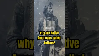 Why Are Native Americans Called Indians? Unraveling the Origins and Cultural Diversity