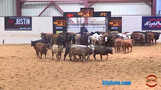 Lloyd Cox & Blackish owned by Julie Jarma 2018 Ike Open Derby Champions