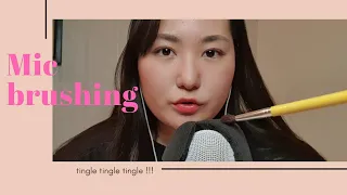 ASMR 마이크 브러싱과 랜덤 입소리