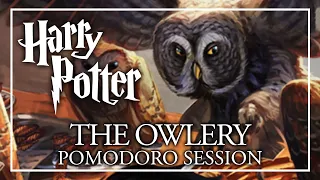 🦉HOGWARTS OWLERY AMBIENCE🦉 Harry Potter Pomodoro Session - Hedwig Ambience Harry Potter ASMR