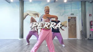 J. Balvin, Tokischa - Perra | Choreography by Sebastian Linares