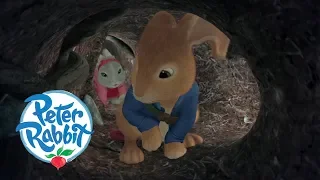 Peter Rabbit - The Labyrinth | Cartoons for Kids