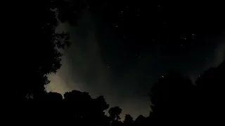 Δάσος Στροφυλιάς -  Srofilias forest night time lapse 02/02/2024