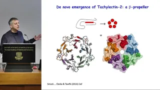 Structural Biology | D2S4 12/21 Protein Evolution – From So Simple a Beginning - Dan Tawfik
