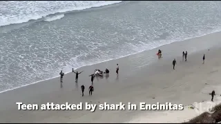 Shark Attacks Boy In Encinitas | San Diego Union-Tribune