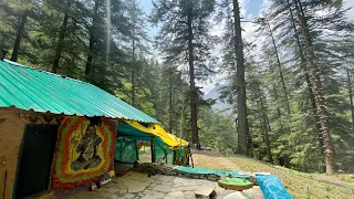 Scenic Forest Campsite in Kasol | Budget Stay in Kasol, Parvati Valley | The Young Monk |