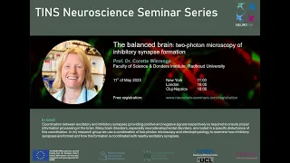 The balanced brain: two-photon microscopy of inhibitory synapse formation by Corette Wierenga