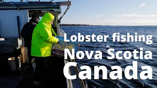 Lobster Fishing in Nova Scotia, Canada