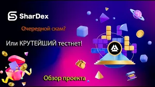 Тестнет сети Shardeum Новая DEX SharDex | Очередной СКАМ или крутейший проект?