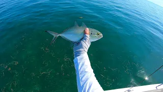 Fishing Blue Runner, Lane Snapper , Mangrove Snapper. Back-Country, Lower Keys, Florida