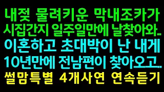 반전실화사연-내젖 물려키운 막내조카가 시집간지 일주일만에 날찾아와, 이혼하고 초대박이 난 내게 10년만에 전남편이 찾아오고_썰맘특별 4개사연 연속듣기/사연읽어주는여자썰맘/사연튜브