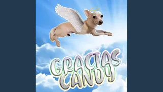 Eres Un Angel (Candy Candy)