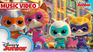 Paws Out, Claws Out 🐱🎶 | Music Video | SuperKitties | @disneyjunior